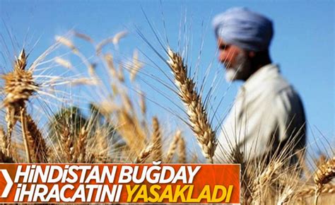 T­a­r­ı­m­ ­B­a­k­a­n­l­ı­ğ­ı­­n­d­a­n­ ­­H­i­n­d­i­s­t­a­n­­d­a­n­ ­b­u­ğ­d­a­y­ ­i­t­h­a­l­a­t­ı­­ ­i­d­d­i­a­s­ı­n­a­ ­y­a­l­a­n­l­a­m­a­